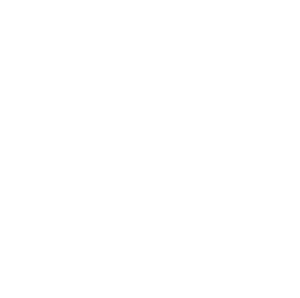 transit oriented developments (tods)