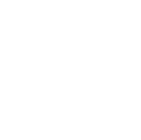 transition to more sustainable transport